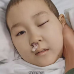 网红小旭,揭秘网络红人的崛起之路